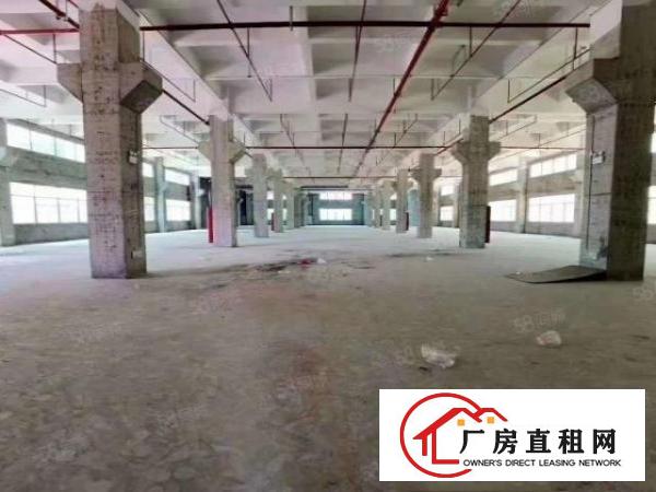  塘厦原房东花园式独院16000平米厂房出租，实际面积