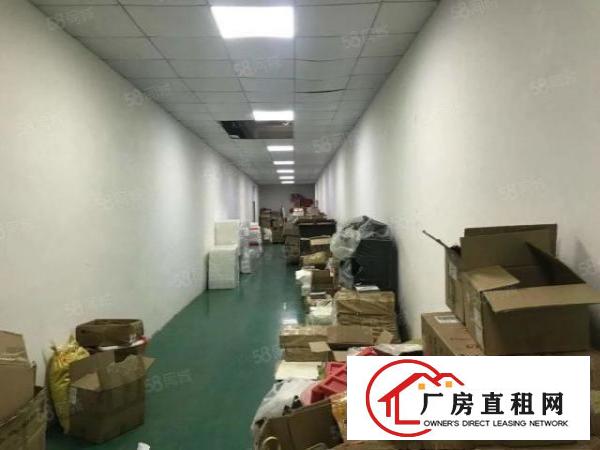  形象好塘厦科苑城楼上带精装修电子组装电商厂房出租870平