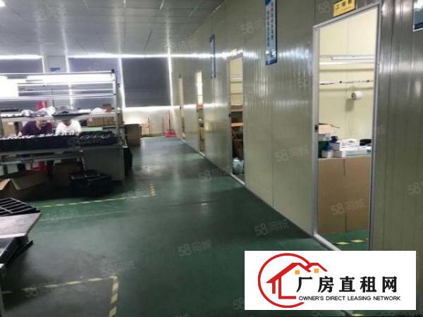  形象好塘厦科苑城楼上带精装修电子组装电商厂房出租870平