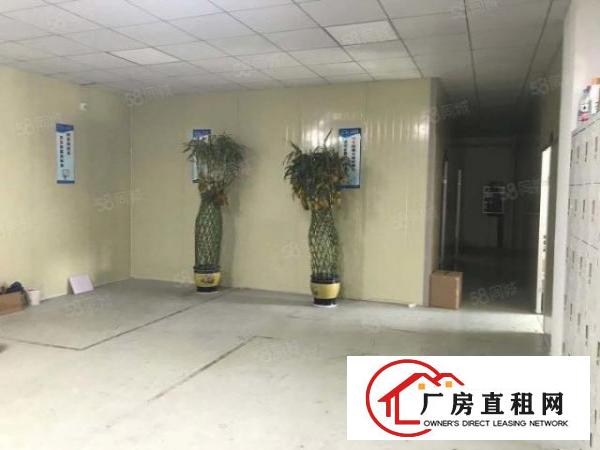  形象好塘厦科苑城楼上带精装修电子组装电商厂房出租870平