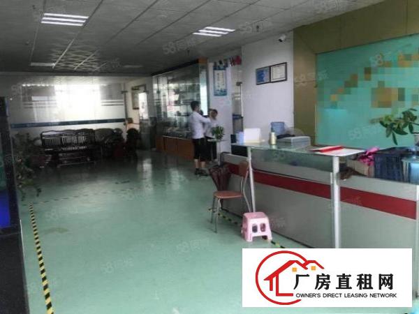  塘厦大坪出口原房东一楼厂房880平，精装修办公室，只租22元
