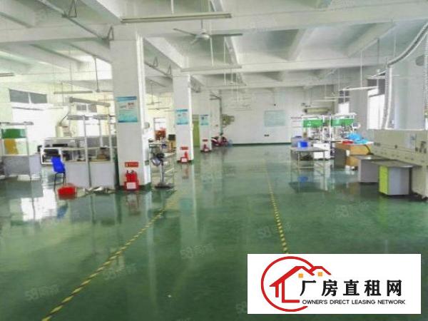  塘厦大坪出口原房东一楼厂房880平，精装修办公室，只租22元