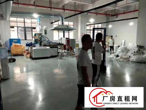  塘厦莲湖新出标准厂房一楼510平带装修无公摊原房东出租