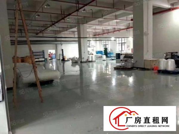  塘厦莲湖新出标准厂房一楼510平带装修无公摊原房东出租
