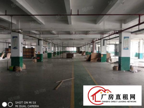  塘厦田心刚空出6000平独院厂房，台湾房东，谢绝包租有环评。