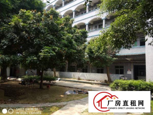  塘厦田心刚空出6000平独院厂房，台湾房东，谢绝包租有环评。