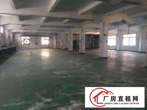  大坪高速附近独门独院厂房，可大小理想分租