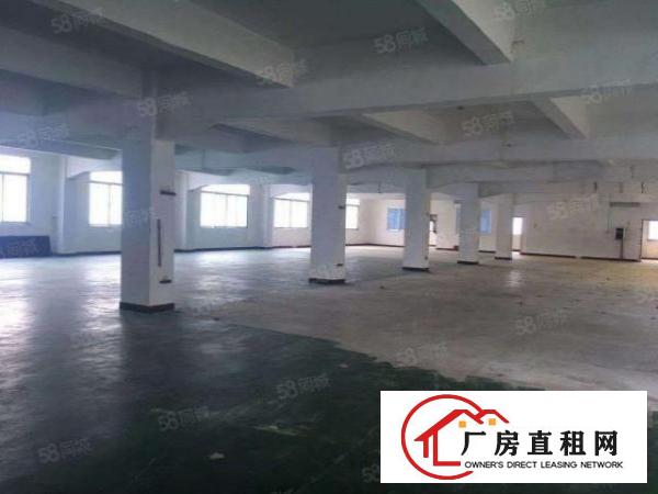  大坪高速附近独门独院厂房，可大小理想分租