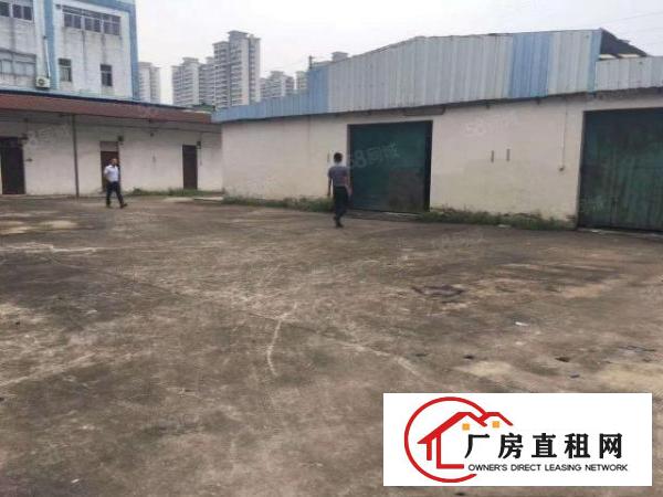  大坪高速附近独门独院厂房，可大小理想分租