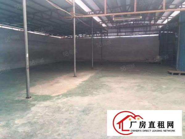  大坪高速附近独门独院厂房，可大小理想分租