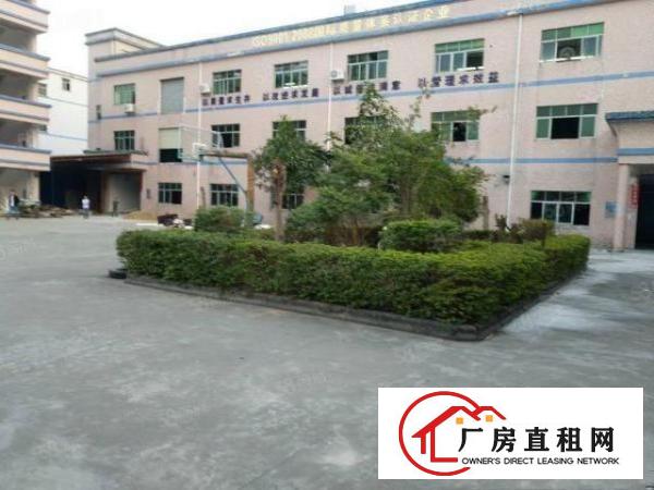  塘厦高速口科苑城新出标准400平现成装修无公摊拎包入驻