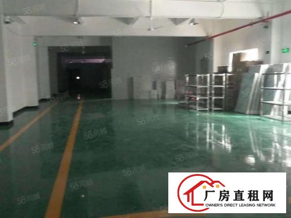  塘厦高速口科苑城新出标准400平现成装修无公摊拎包入驻