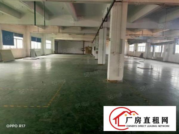  塘厦横塘标准厂房分租一层1300平高度5.8米工业用地办环评