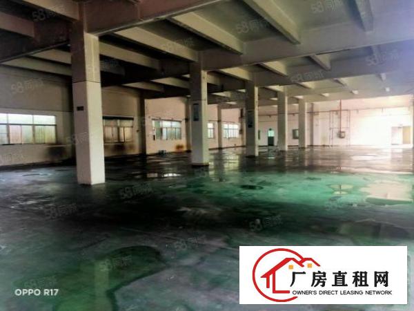  塘厦横塘标准厂房分租一层1300平高度5.8米工业用地办环评
