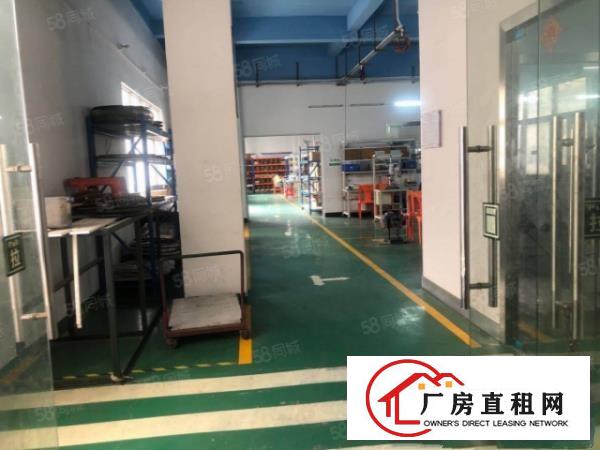  塘厦桥陇标准独院3300平，易招工，现成装修水电，原房东