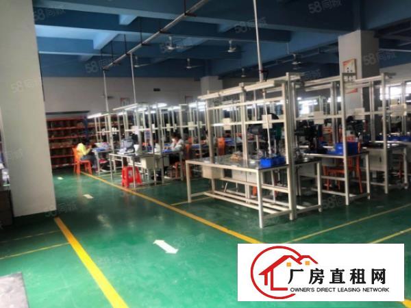  塘厦桥陇标准独院3300平，易招工，现成装修水电，原房东
