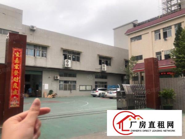  塘厦桥陇标准独院3300平，易招工，现成装修水电，原房东