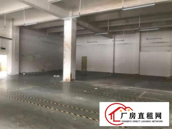  塘厦科苑城828平方现有厂房出租！精装水电齐全拎包进场急租。
