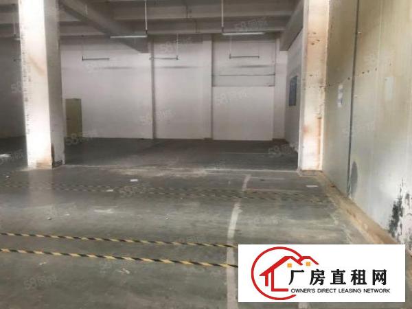  塘厦科苑城828平方现有厂房出租！精装水电齐全拎包进场急租。