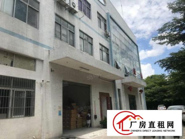  塘厦科苑城828平方现有厂房出租！精装水电齐全拎包进场急租。