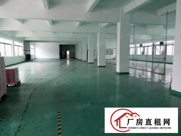  带红本！塘厦石潭埔新出标厂楼上970平原房东无公摊带地坪漆