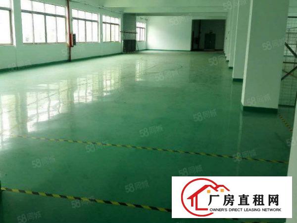  带红本！塘厦石潭埔新出标厂楼上970平原房东无公摊带地坪漆