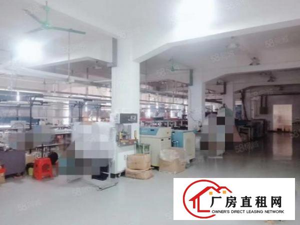  塘厦石鼓原房东厂房1200平方，现成豪华装修，租金13