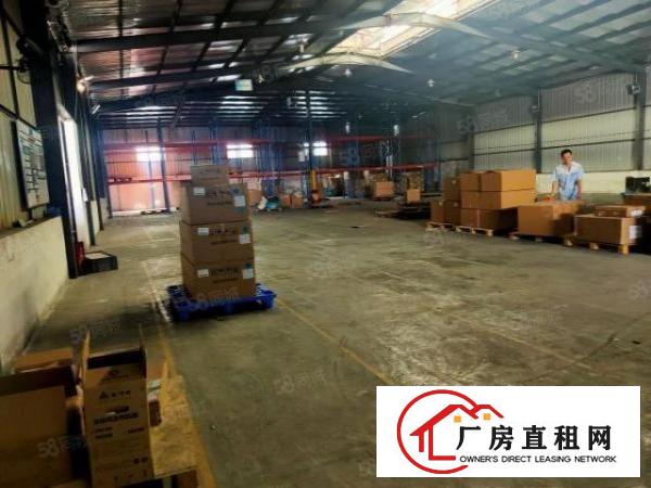 塘厦横塘原房东出租独门独院钢构单一层3500平方价钱实惠
