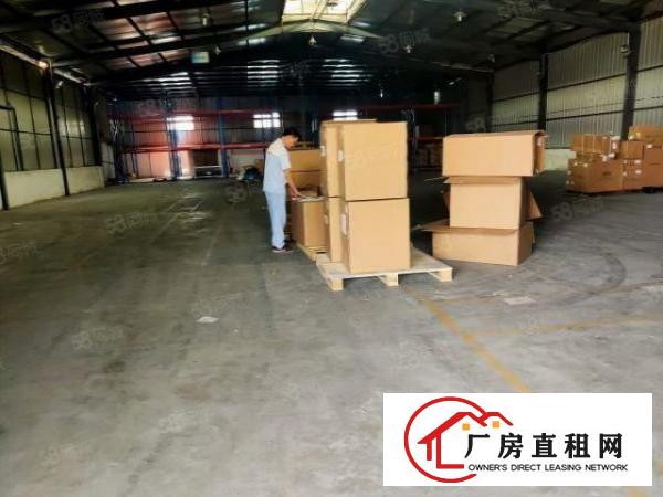  塘厦横塘原房东出租独门独院钢构单一层3500平方价钱实惠