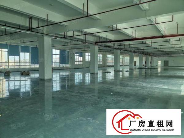  塘厦沙湖工业园二楼1700平方现成装修厂房出租，带有消防喷淋