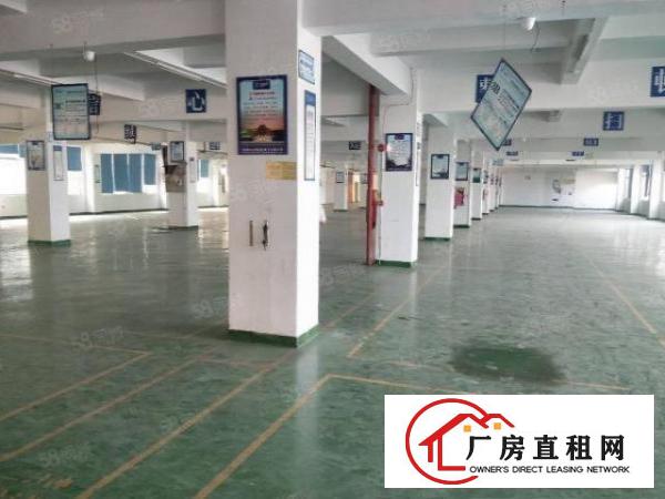  塘厦沙湖原房东直租标准2楼1200平方！无公摊！面积可实量