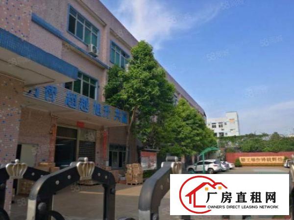  塘厦沙湖原房东直租标准2楼1200平方！无公摊！面积可实量