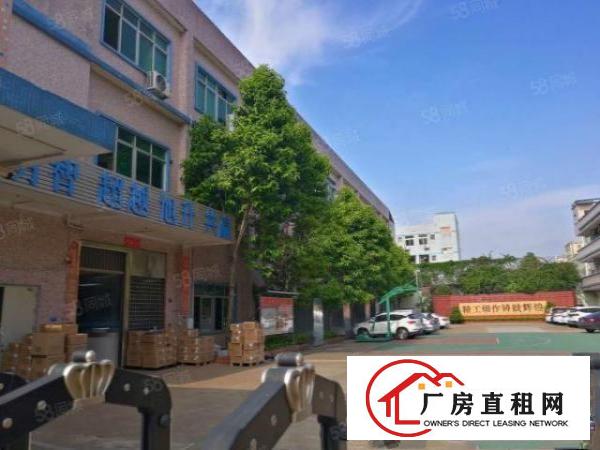  塘厦沙湖原房东直租标准2楼1200平方！无公摊！面积可实量