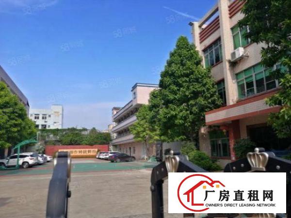  塘厦沙湖原房东直租标准2楼1200平方！无公摊！面积可实量