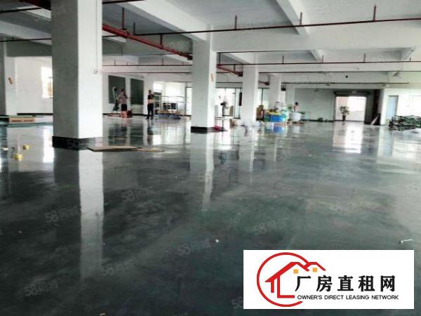  塘厦科苑城标准楼2楼1400平方！电子车间！无需装修