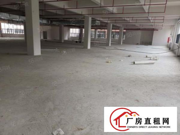  塘厦科苑城全新独栋厂房10800平方！带红本！形象很OK