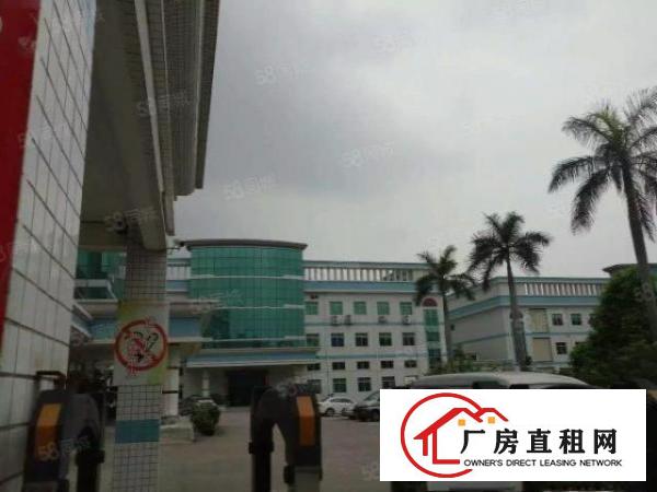  塘厦科苑城独院标准1楼1375平方！可分租高6米！可装峰谷表