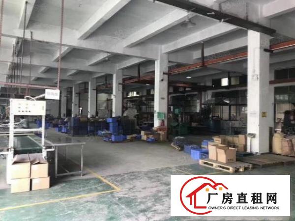  清溪浮岗原房东独院厂房出租3200平方，带水电装修，消防环评