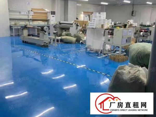  塘厦138工业区独院4楼810平方！内部带部份无尘车间装修