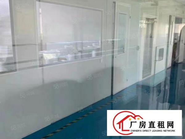  塘厦138工业区独院4楼810平方！内部带部份无尘车间装修
