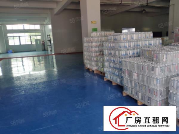  塘厦138工业区独院4楼810平方！内部带部份无尘车间装修
