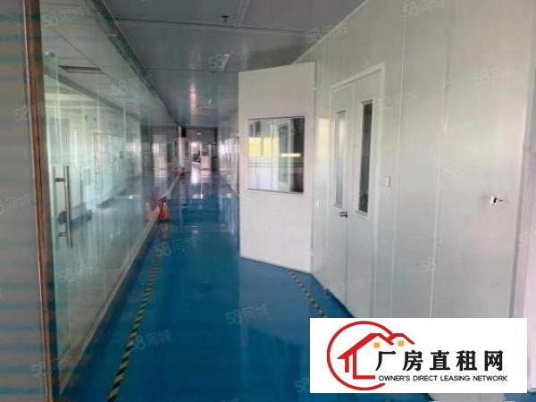  塘厦138工业区独院4楼810平方！内部带部份无尘车间装修