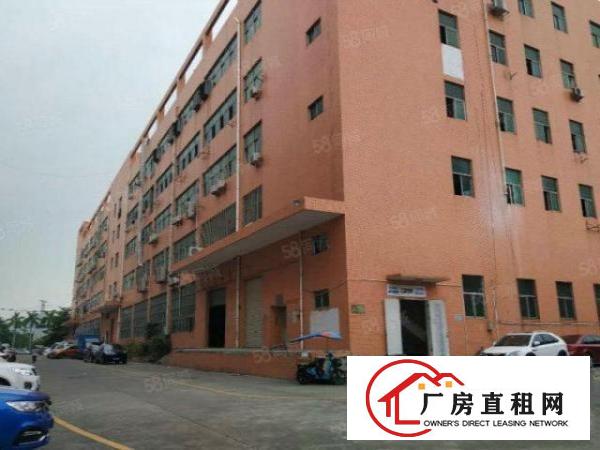  塘厦138工业区独院4楼810平方！内部带部份无尘车间装修