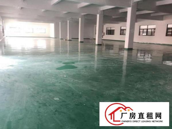  塘厦振兴围独院标准1楼700平方！现成主线办公室装修