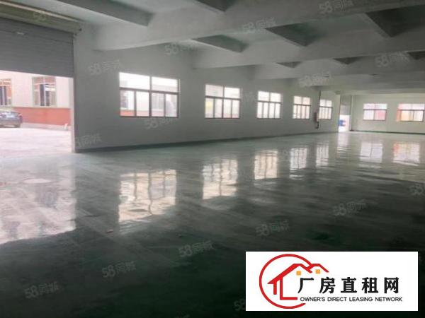  塘厦振兴围独院标准1楼700平方！现成主线办公室装修
