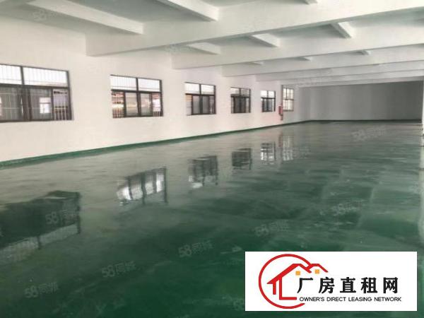  塘厦振兴围独院标准1楼700平方！现成主线办公室装修
