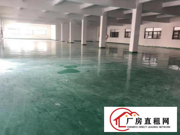  塘厦振兴围独院标准1楼700平方！现成主线办公室装修