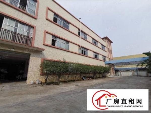  塘厦振兴围独院标准1楼700平方！现成主线办公室装修