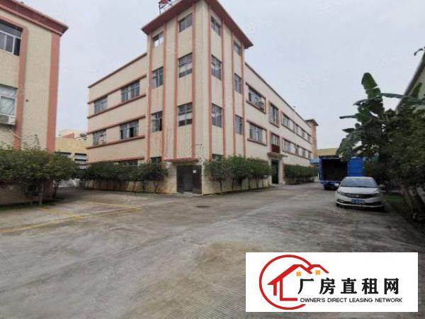  塘厦振兴围独院标准1楼700平方！现成主线办公室装修