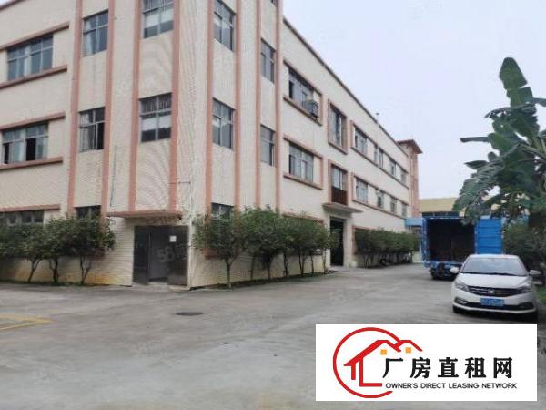  塘厦振兴围独院标准1楼700平方！现成主线办公室装修